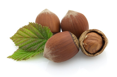 Similar image 127932