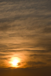 Similar image 127949