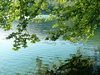 Similar image 127957