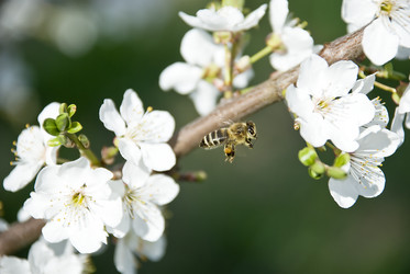 Similar image 127986