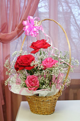 Similar image 127990