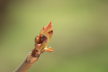 Similar image 127997