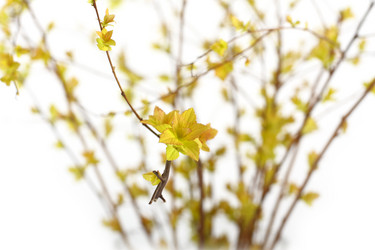 Similar image 128002