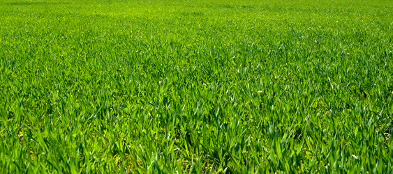 Similar image 128036