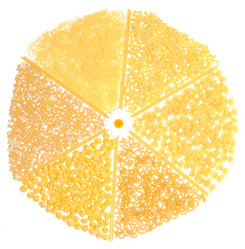 Similar image 128046