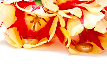 Similar image 128057