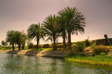 Similar image 128064