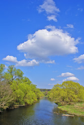 Similar image 128087