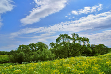 Similar image 128089