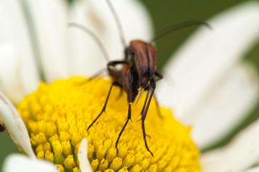 Similar image 128097