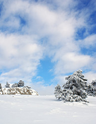 Similar image 128106