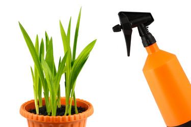 Similar image 128128