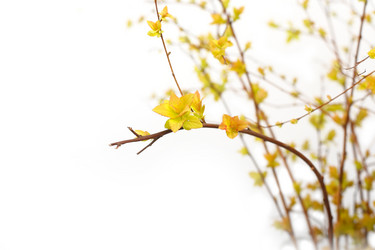 Similar image 128131