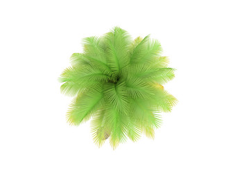 Similar image 128159