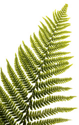 Similar image 128170