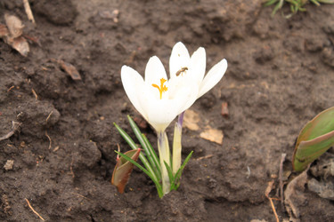 Similar image 128259