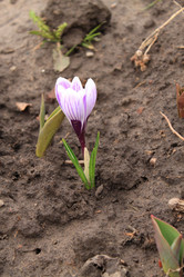 Similar image 128261