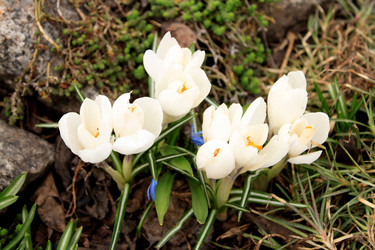 Similar image 128263