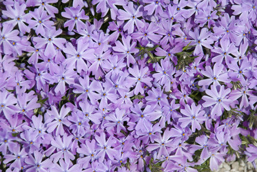 Similar image 128266