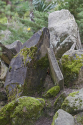 Similar image 128273