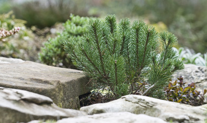 Similar image 128274