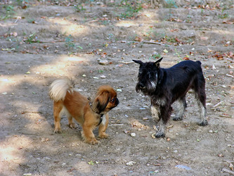 Similar image 128279