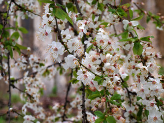 Similar image 128390