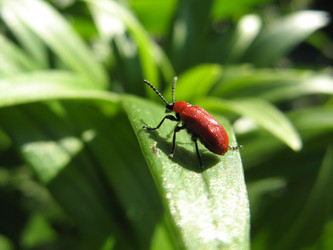 Similar image 128395