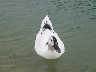 Similar image 128402