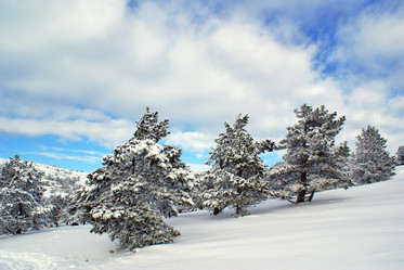 Similar image 128414