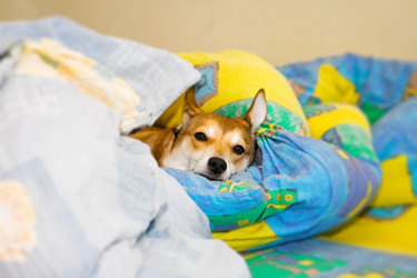 Similar image 128434