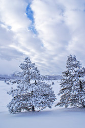 Similar image 128437