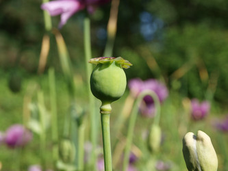 Similar image 128438