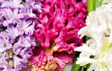 Similar image 128508