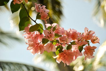 Similar image 128512