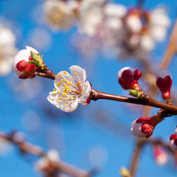 Similar image 128516