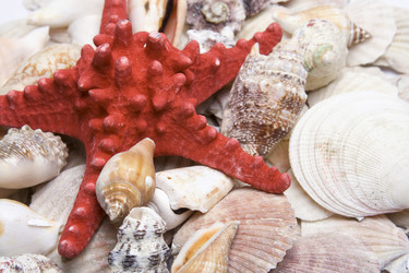 Similar image 128543