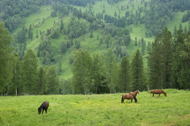 Similar image 128562