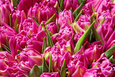 Similar image 128595