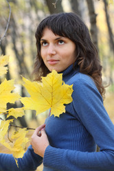 Similar image 128613