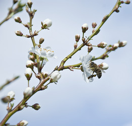 Similar image 128637