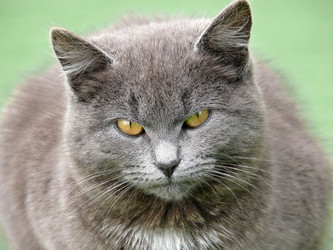 Similar image 128640