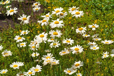 Similar image 128653