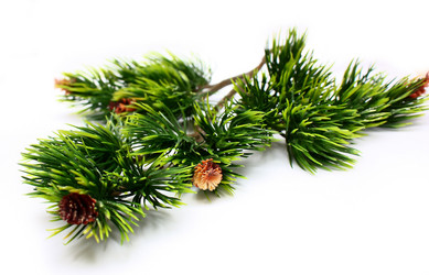 Similar image 128693