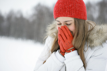 Similar image 128719