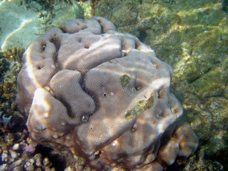 Similar image 128792