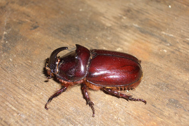 Similar image 128794