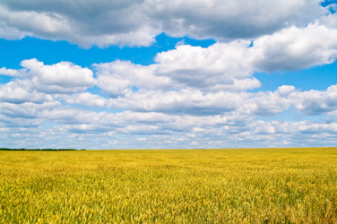 Similar image 128813