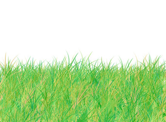 Similar image 128823