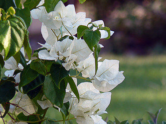 Similar image 128827